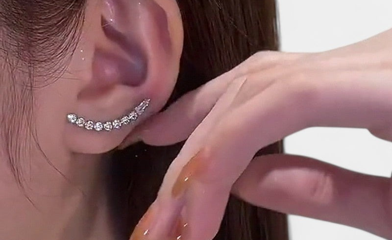 Virelle-Jewelry Earring-Virelle Oorbellen - Zircon tassel oorbellen met hartvorm