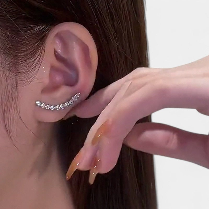 Virelle-Jewelry Earring-Virelle Oorbellen - Zircon tassel oorbellen met hartvorm