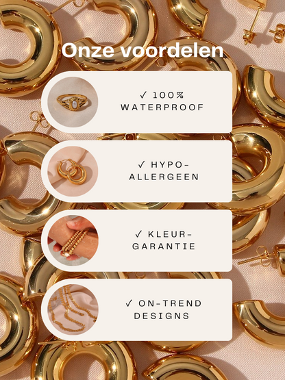 Nora Brede Gouden Schakelarmband Met Zirkonia