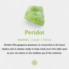 Virelle-Virelle | Damesketting – Kristallen parfumflesje-hanger, fijne schakelketting