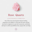 Virelle-Virelle | Damesketting – Kristallen parfumflesje-hanger, fijne schakelketting